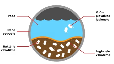 01-legionella-1